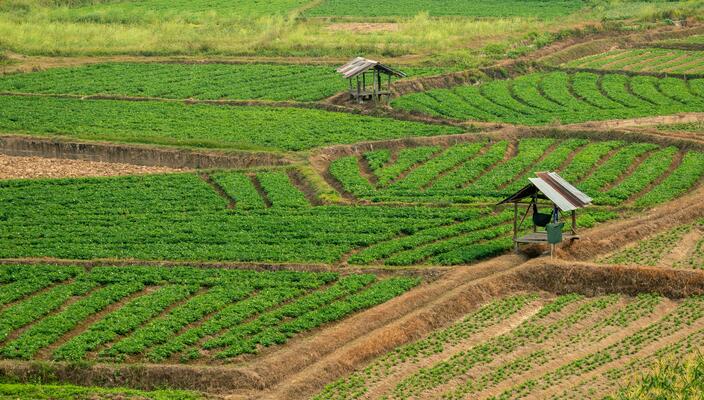 Sustainable farming practices
